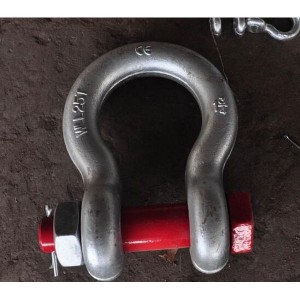 Personlized Products Abc Fire Extinguisher 5kg -
 Shackle G2130 Bow Shackle – Sino-Mech Hardware