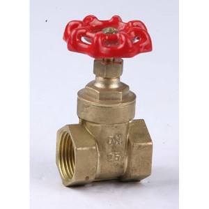 ဂိတ် Valve & Ball ကို Valve SN4-GBV-002