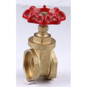 Van cổng & Ball Valve SN4-GBV-006