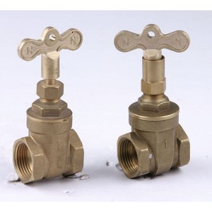 Gate Valve & Ball Valve SN4-GBV-004